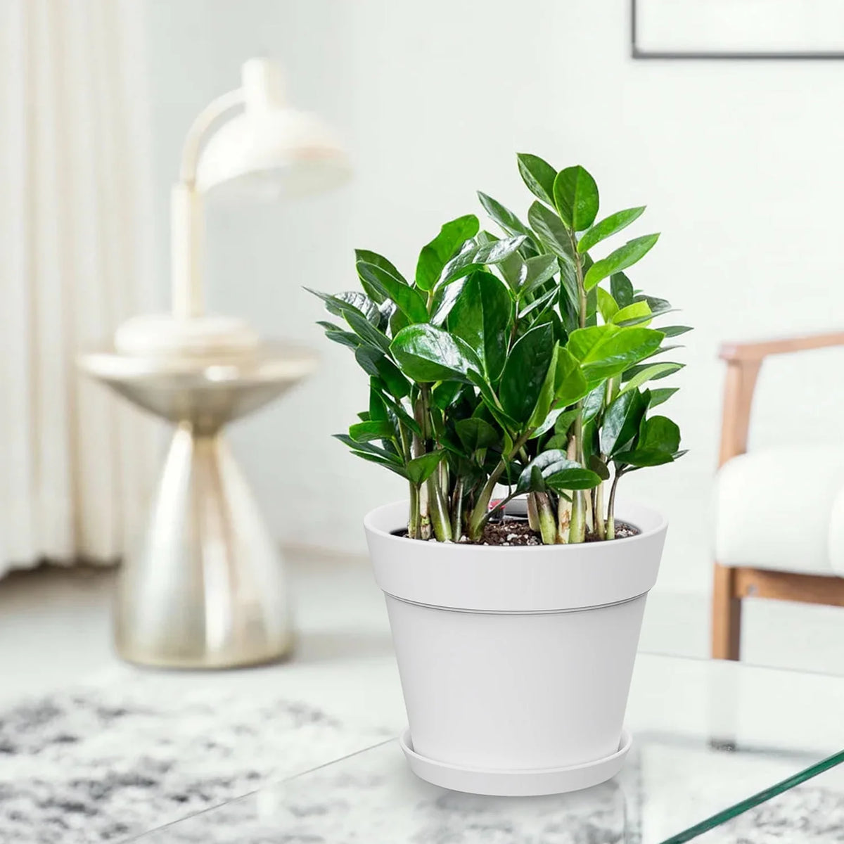 6 Inch Plastic Planters 16 Pack White V2788
