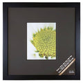 Black Square Gallery Wall Frame with Double Mat H971