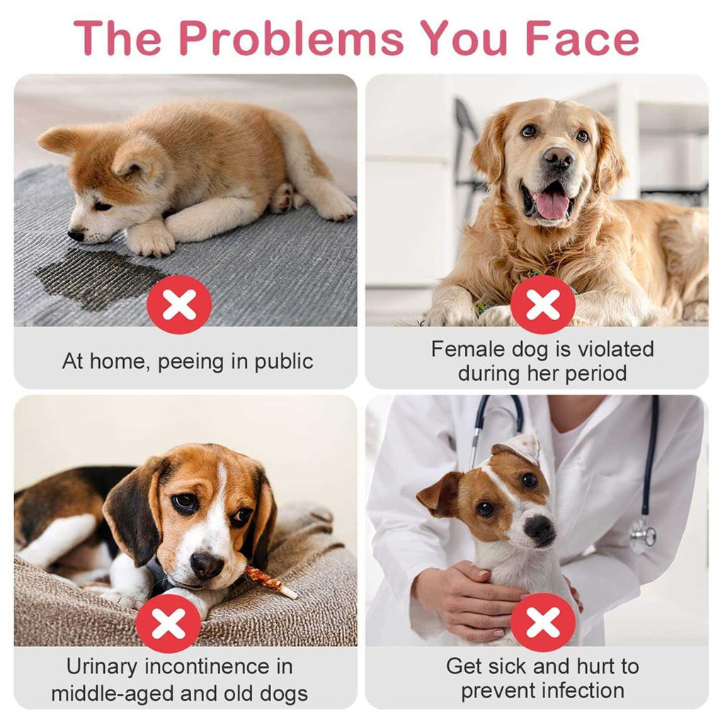 Disposable Female Dog Diapers with Adjustable Elastic Waistline C4345