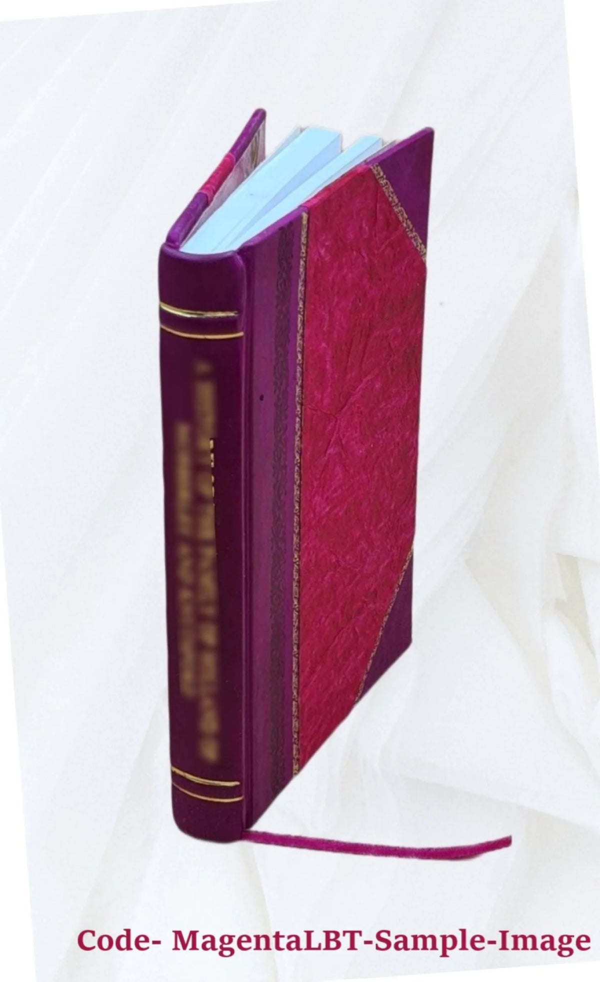 1922 Seed Catalogue Leather Bound T7919