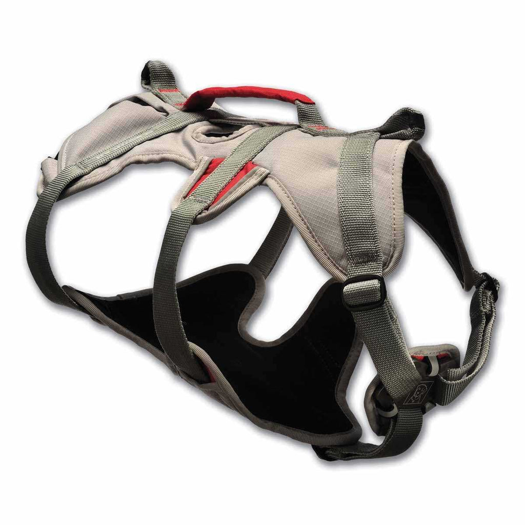 Doubleback Harness O532075