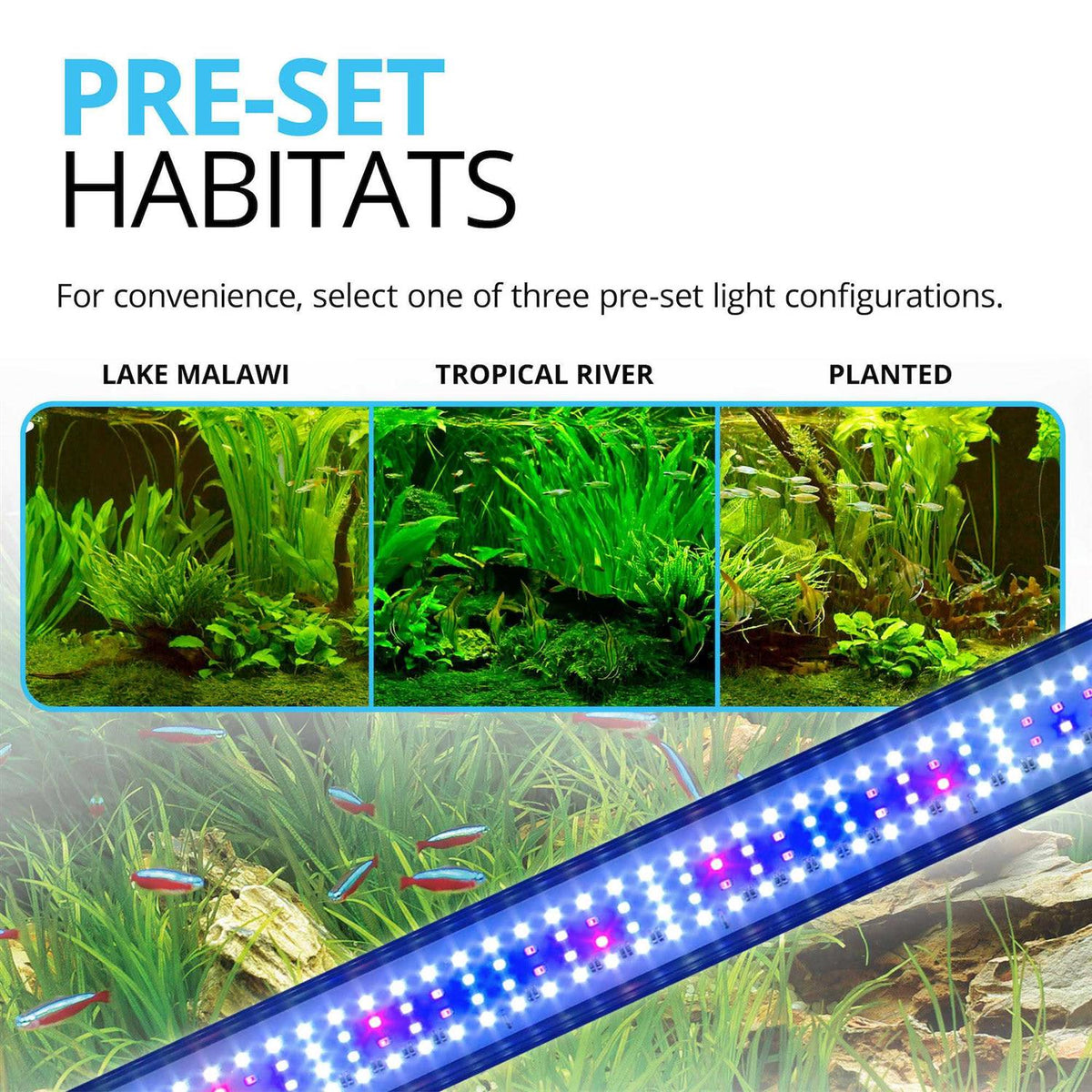 LED F6634