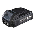 20V 2 Ah Lithium-Ion Compact Battery Y546
