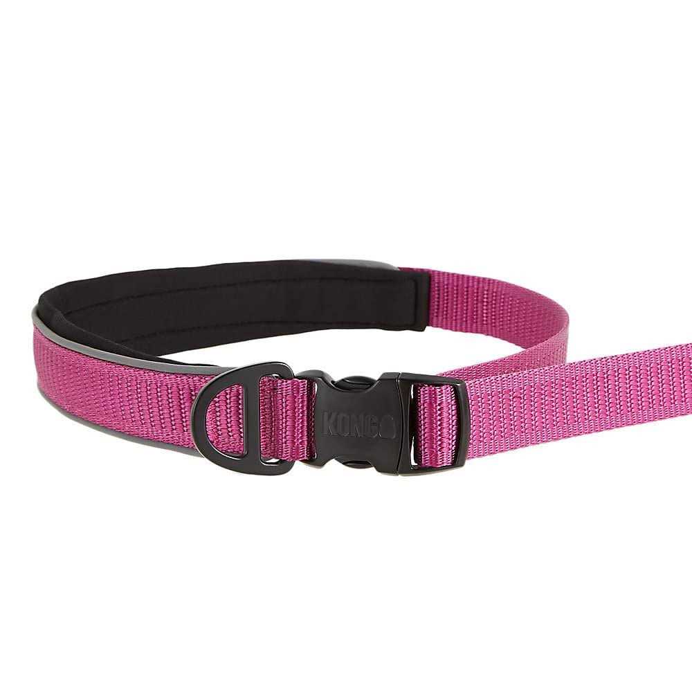 Green 6-ft Hands-Free Dog Leash Y52086