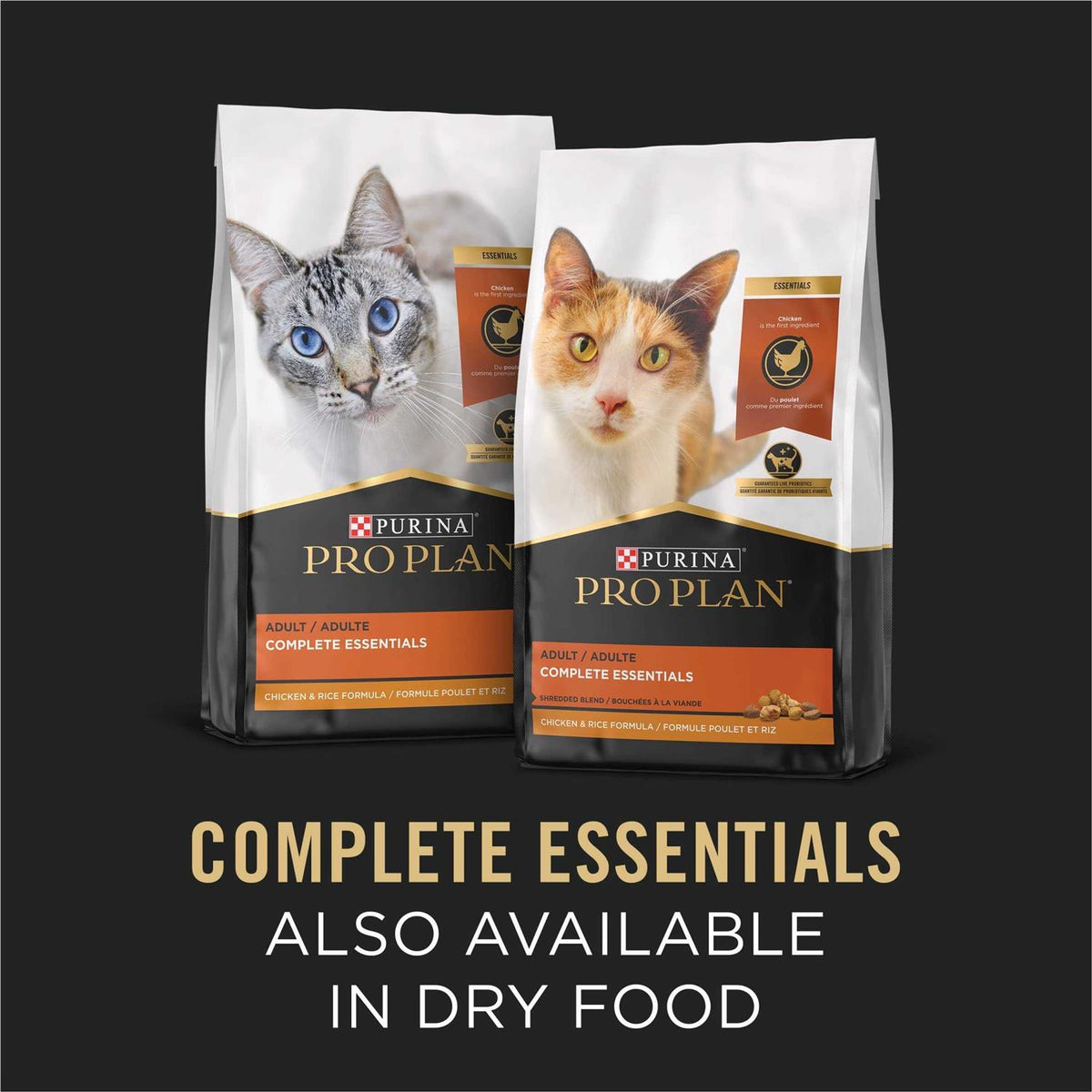 Cat Food Q999967