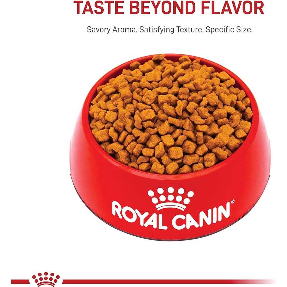 Dry Dog Food F15287