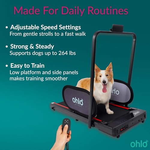 Portable Pet Treadmill with Wheels & Remote Control E221