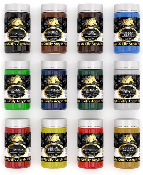 12 x 300ml Heavy Body Acrylic Paint Set M241073
