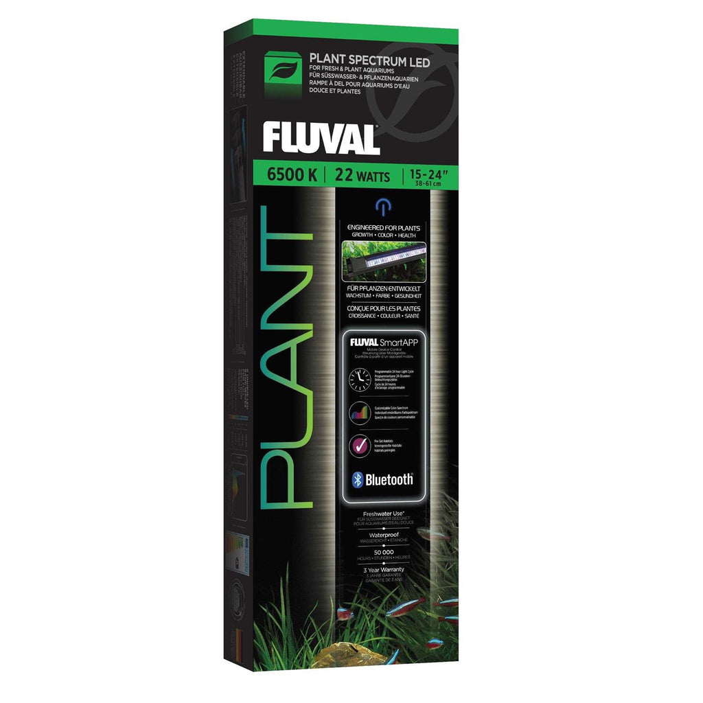 LED F6634
