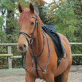 Black Martingale O38627