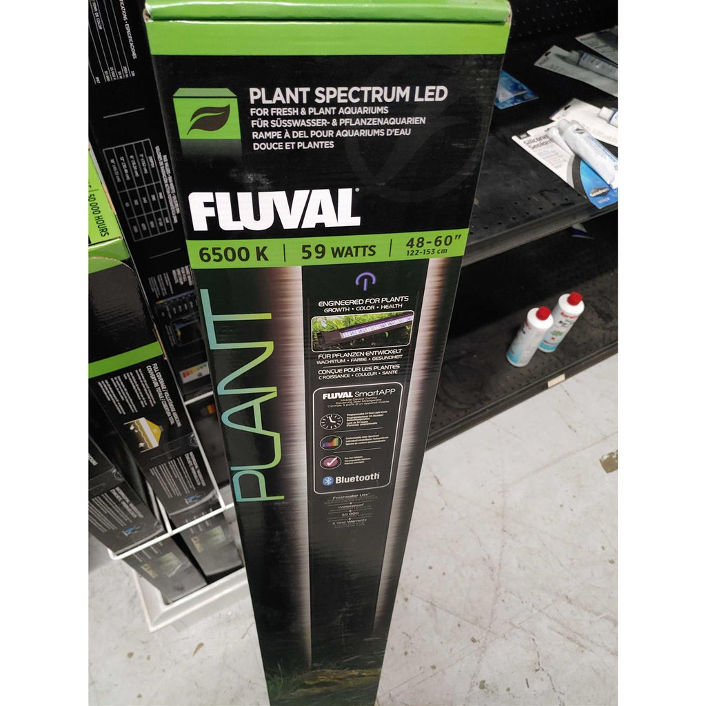 LED F6634
