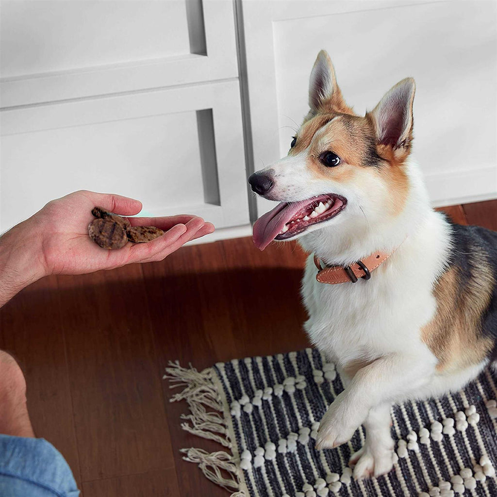 Dog Treats C182