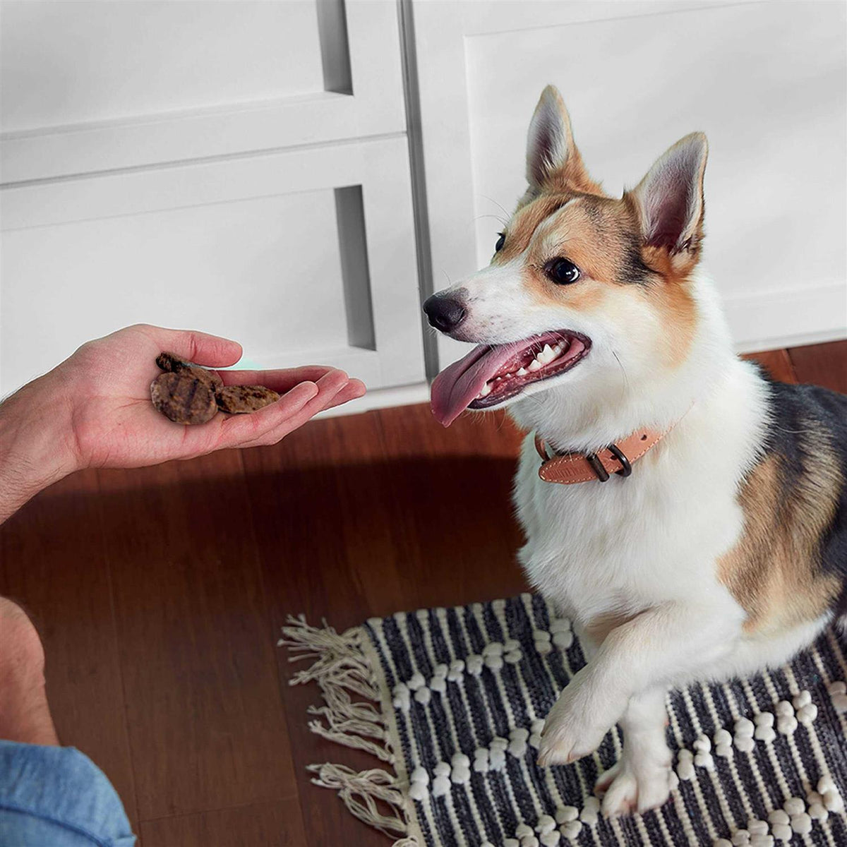 Dog Treats C182