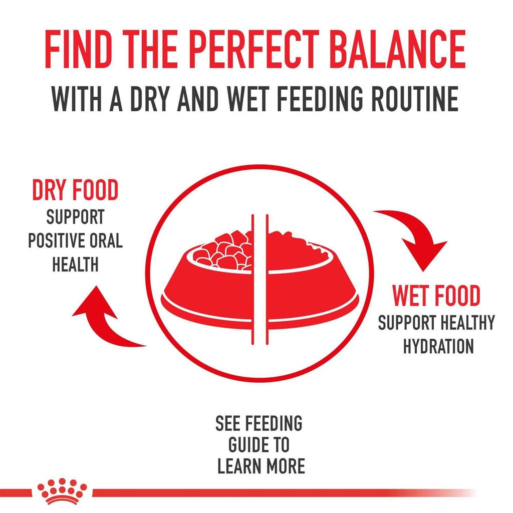 Dry Dog Food F15287