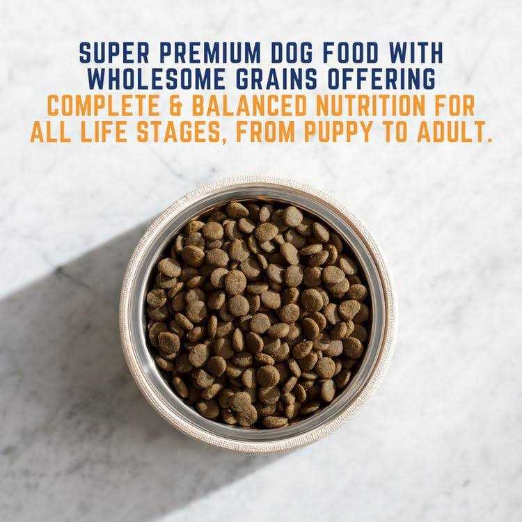 Chicken & Salmon Formula Wet Dog Food D2016