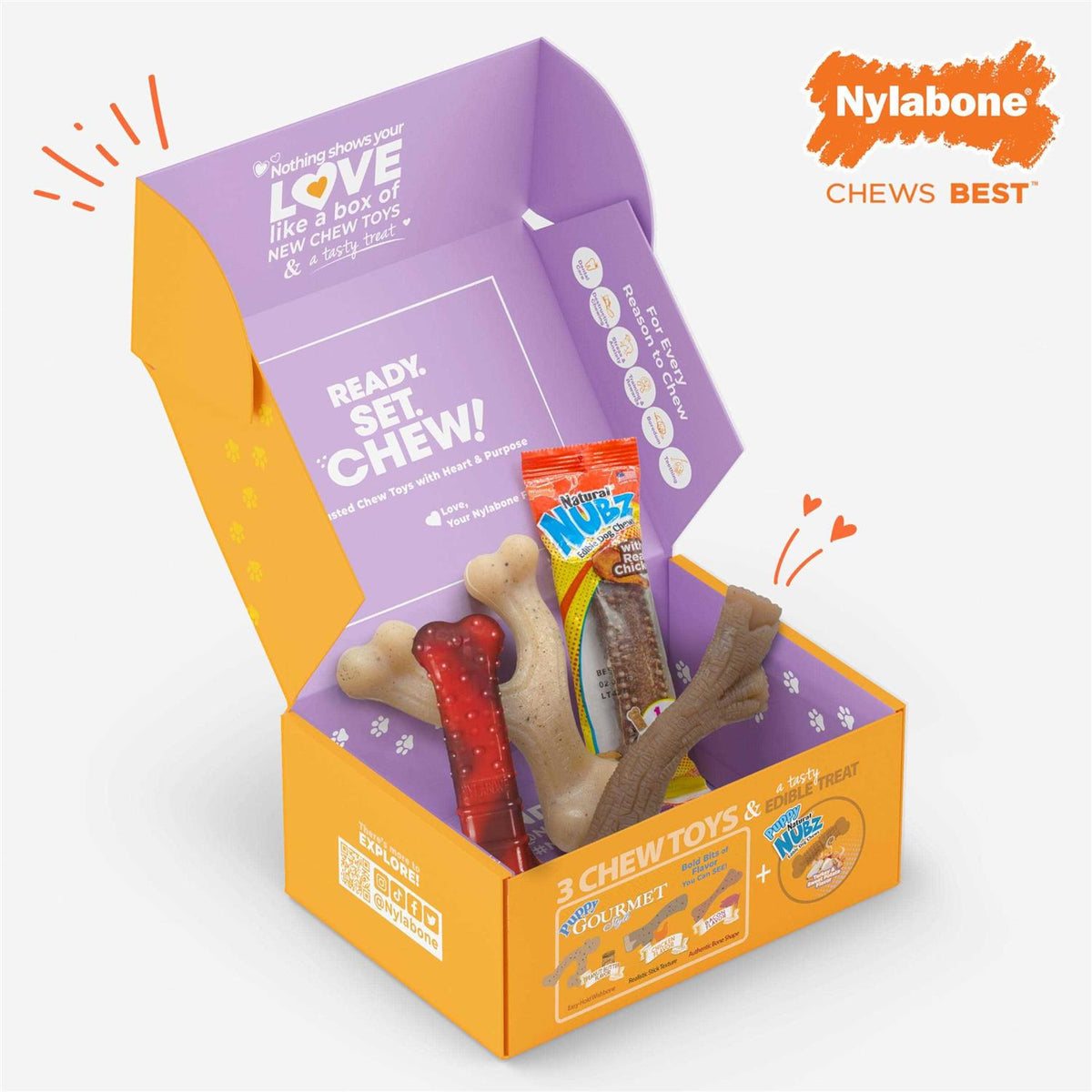 Chew Toy & Treat Gift Box L35735