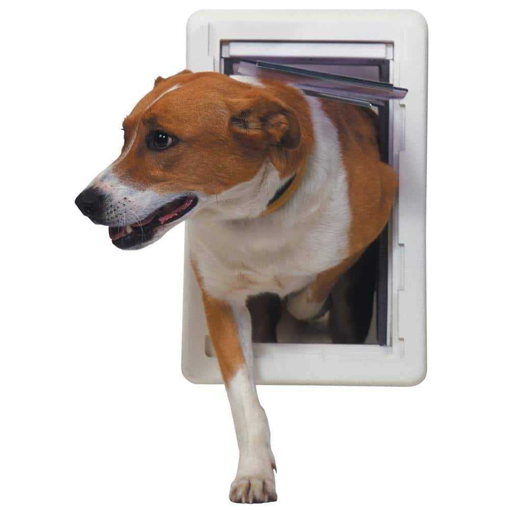Medium Ruff Weather Pet Door M414992