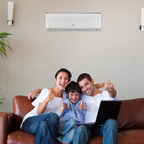 42,000 BTU Multi-Zone Mini Split A/C & Heater R466