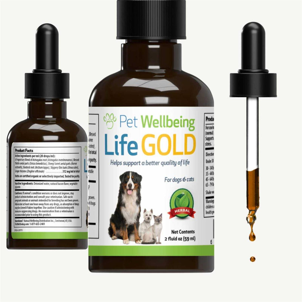 Life Gold for Dogs U113958