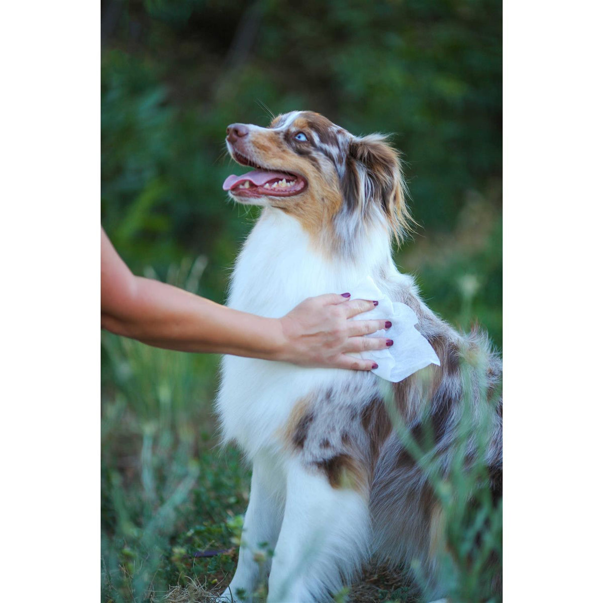 Oatmeal Aloe Grooming Wipes X778