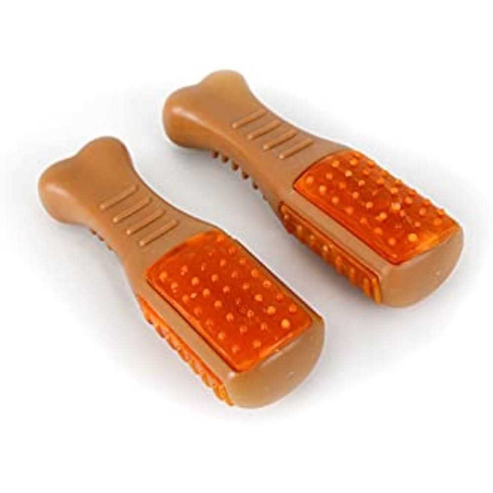 Chicken Flavored Dog Treat & Chew Toy T668716