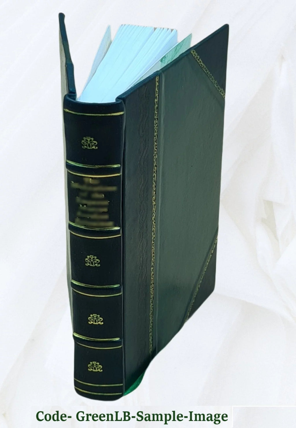 Leather Bound F213536