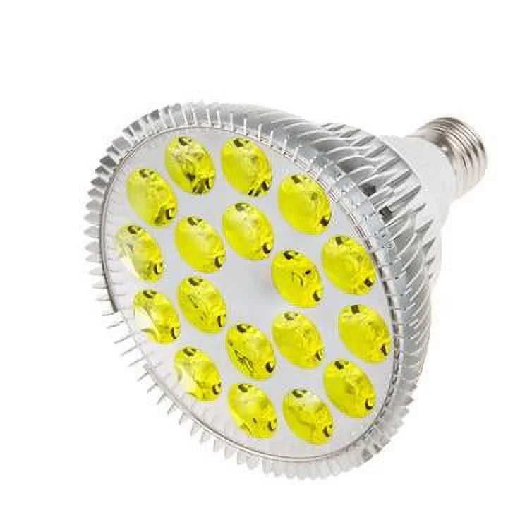 Yellow LED Bulb Large 120V W1456
