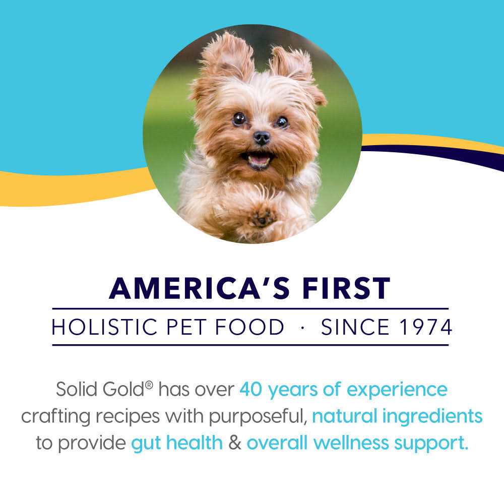 Solid Gold Small Breed Dry Dog Food F5897